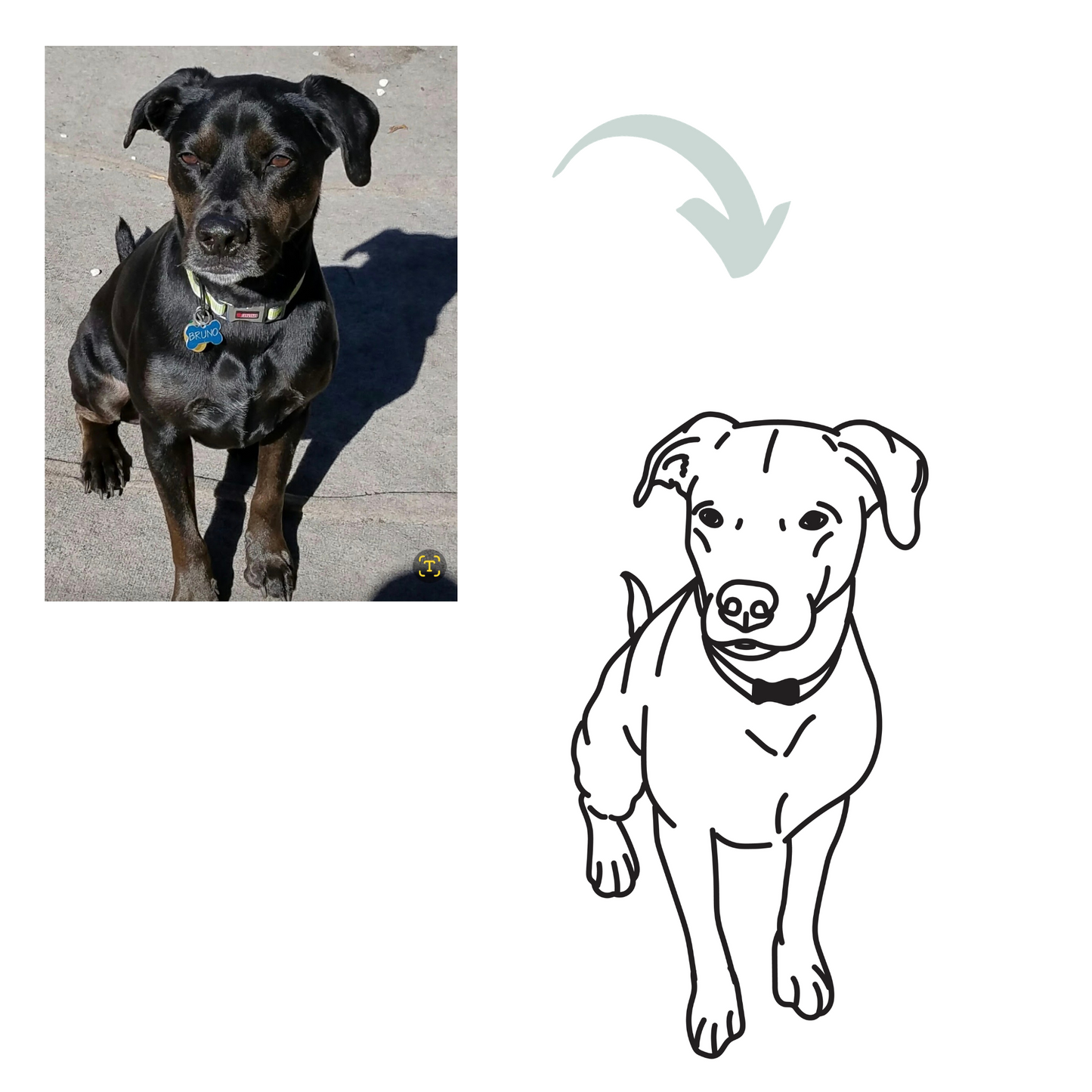 Custom Pet Full Body Outline - Digital File