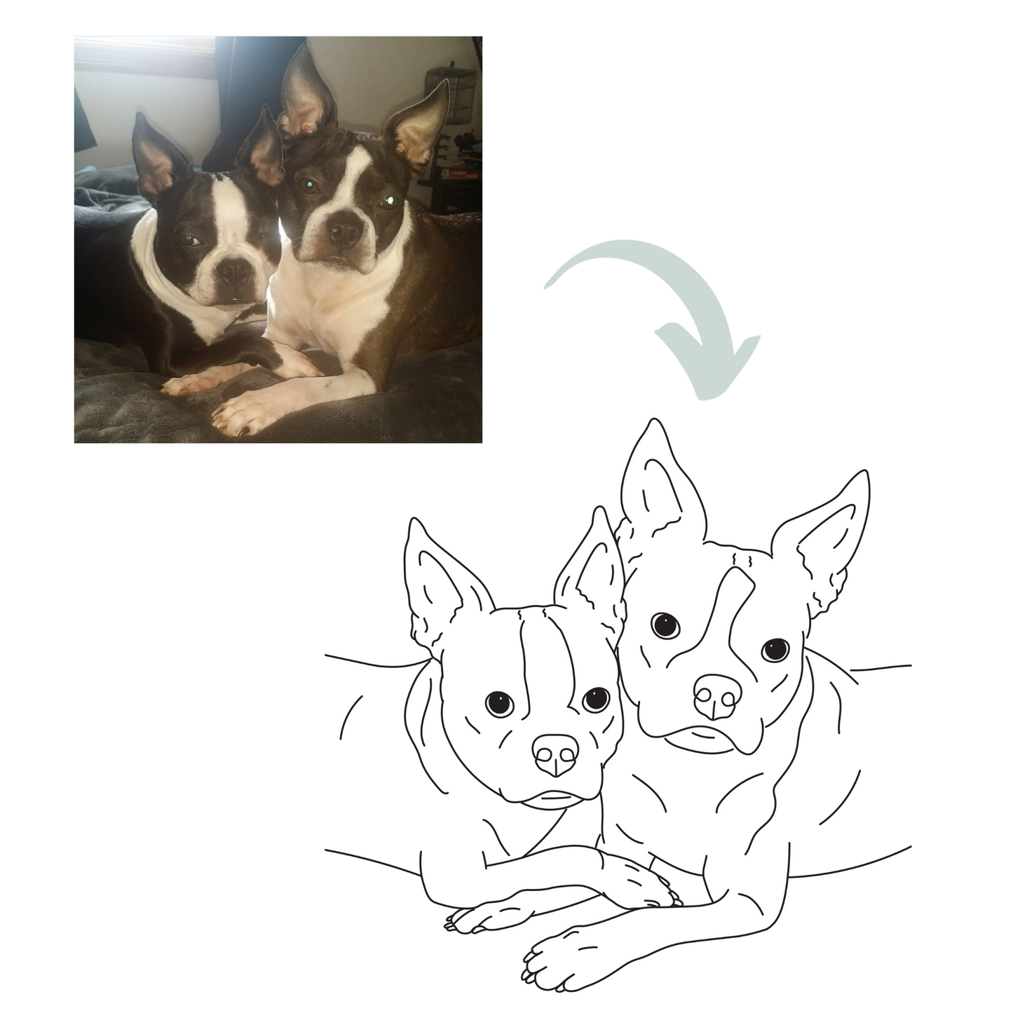 Custom Pet Full Body Outline - Digital File