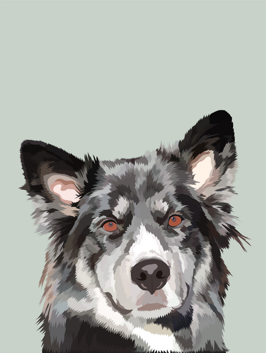 Custom Peekaboo Pet Portrait - Head/Chest - Digital File Only