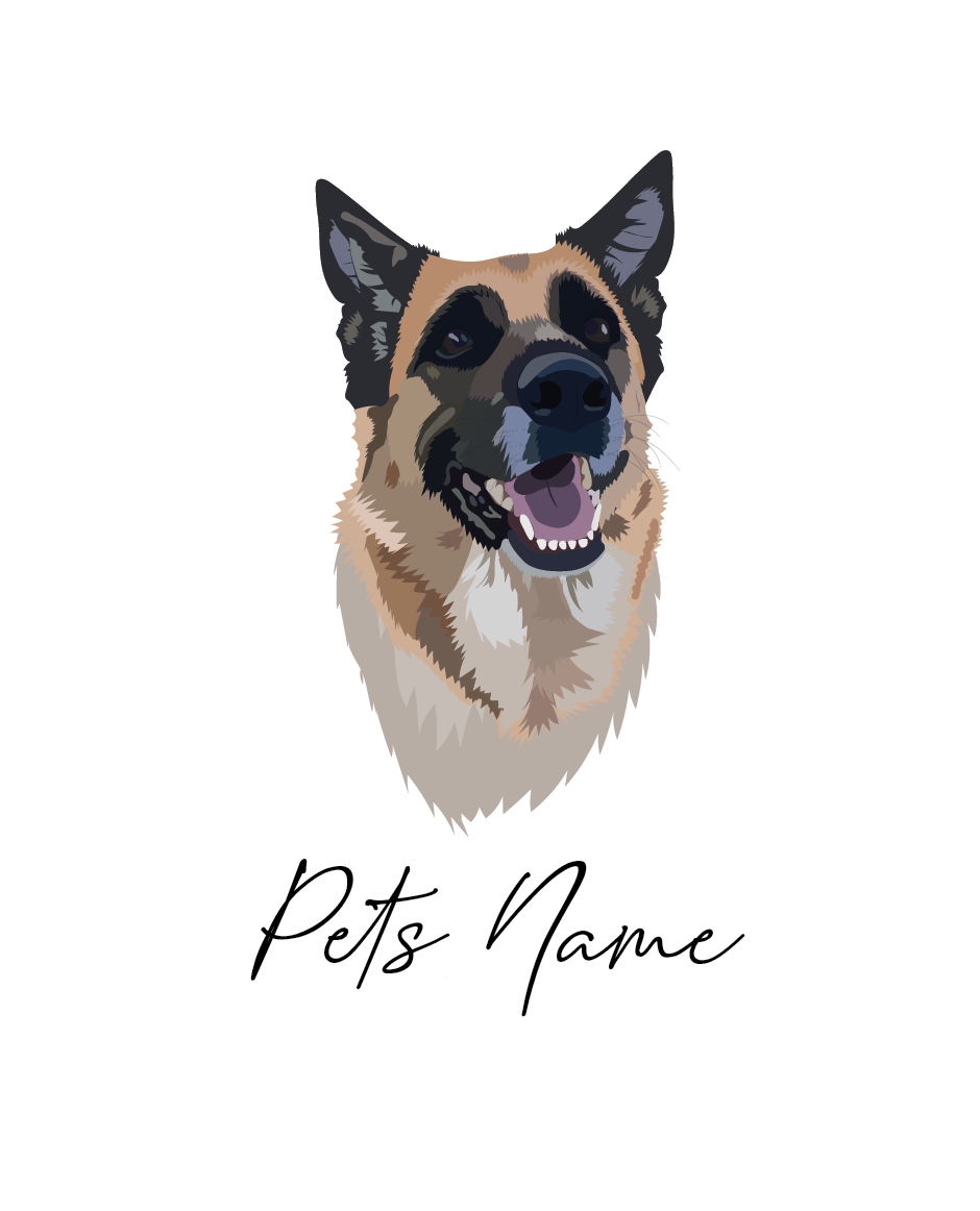 German doodle 2024 puppies for sale