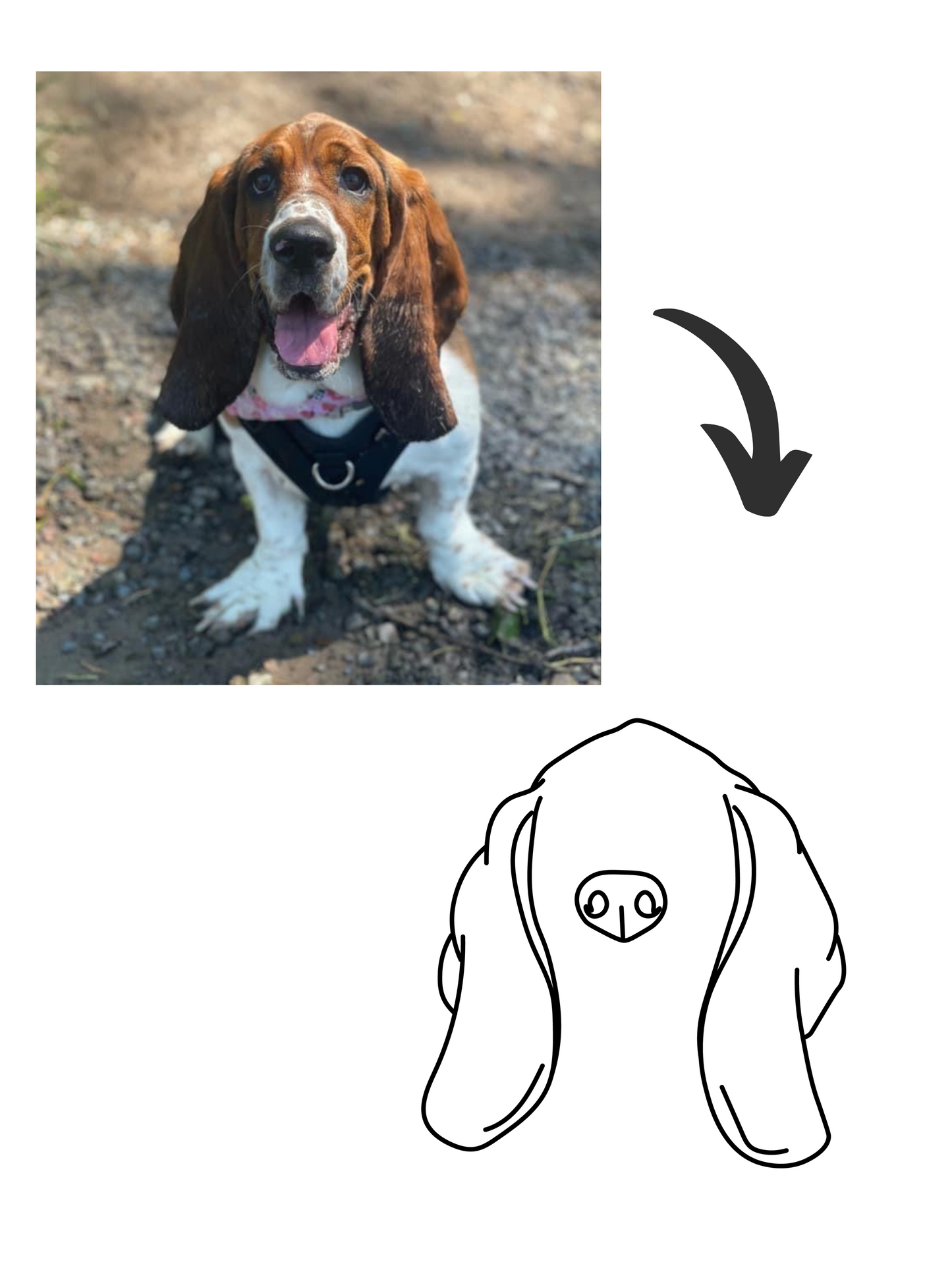 Custom pet ear and nose outlines - unique and personalized pet artwork available for purchase