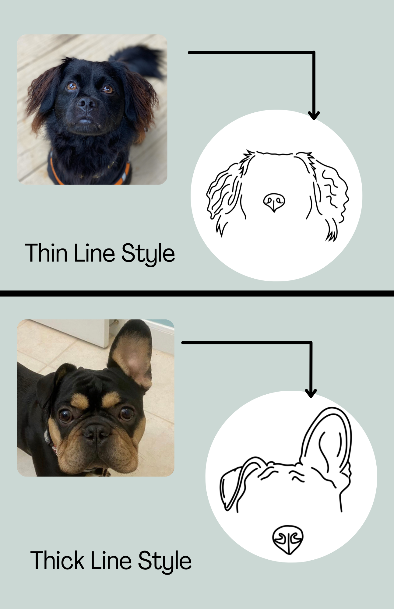 Custom Pet Ear & Nose Outline Drawing + Vinyl Decal Sticker Bundle