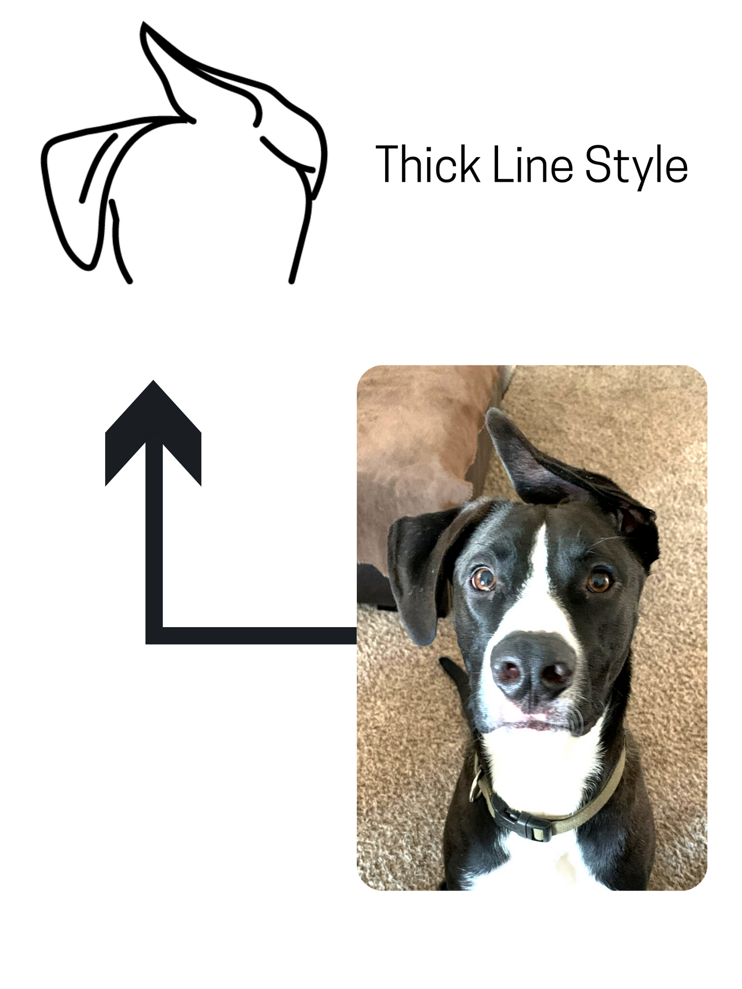 Custom Pet Ear Outline + Tote & Decal Bundle