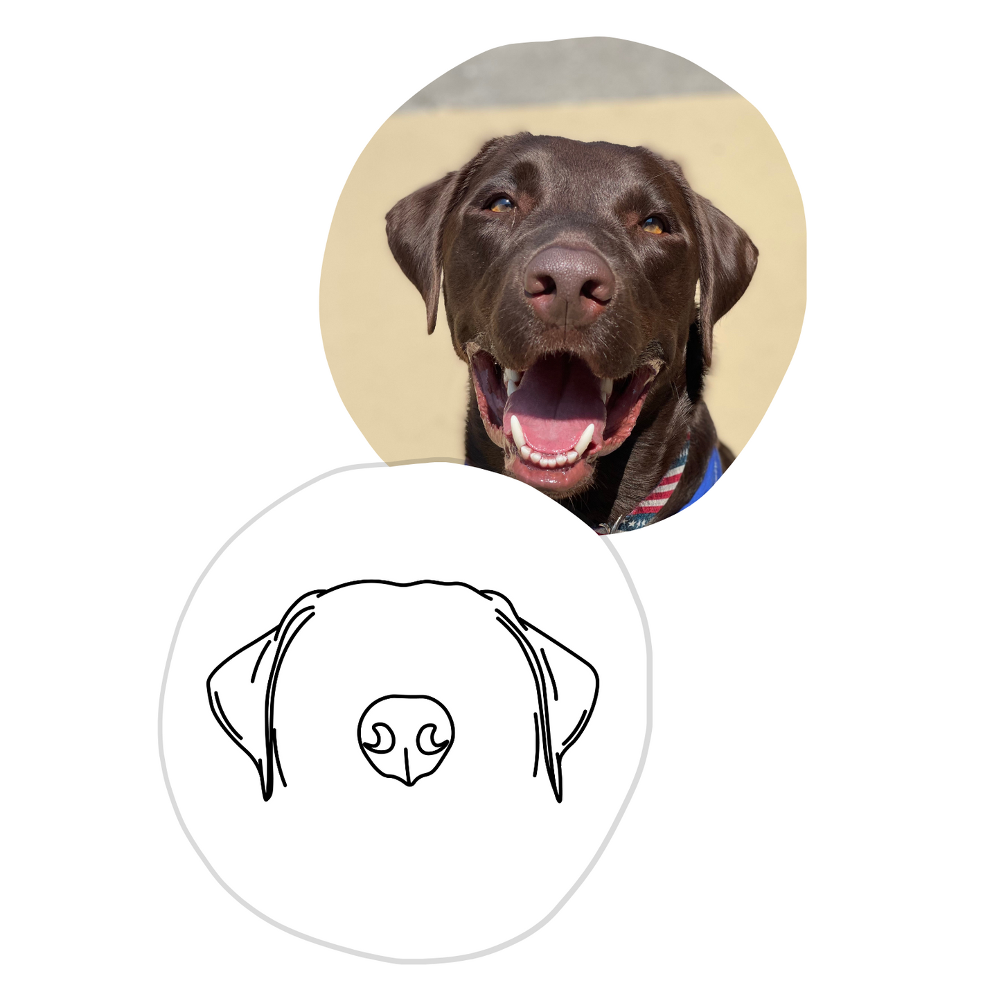 Custom Pet Ear + Nose Outline - Digital File Only
